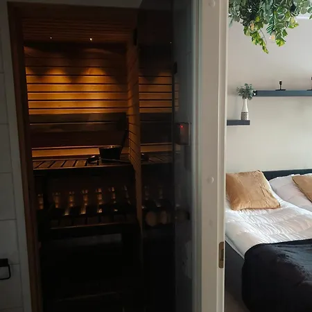 Appartement Levin Mini *